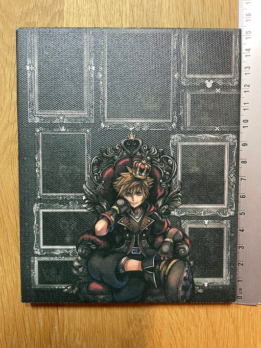 Canvas Sora | Kingdom Hearts | Ichiban Kuji
