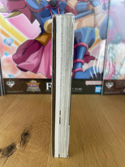 Manga Tome 10 Édition Limitée Collector | The Ancient Magus Bride | Mag Garden