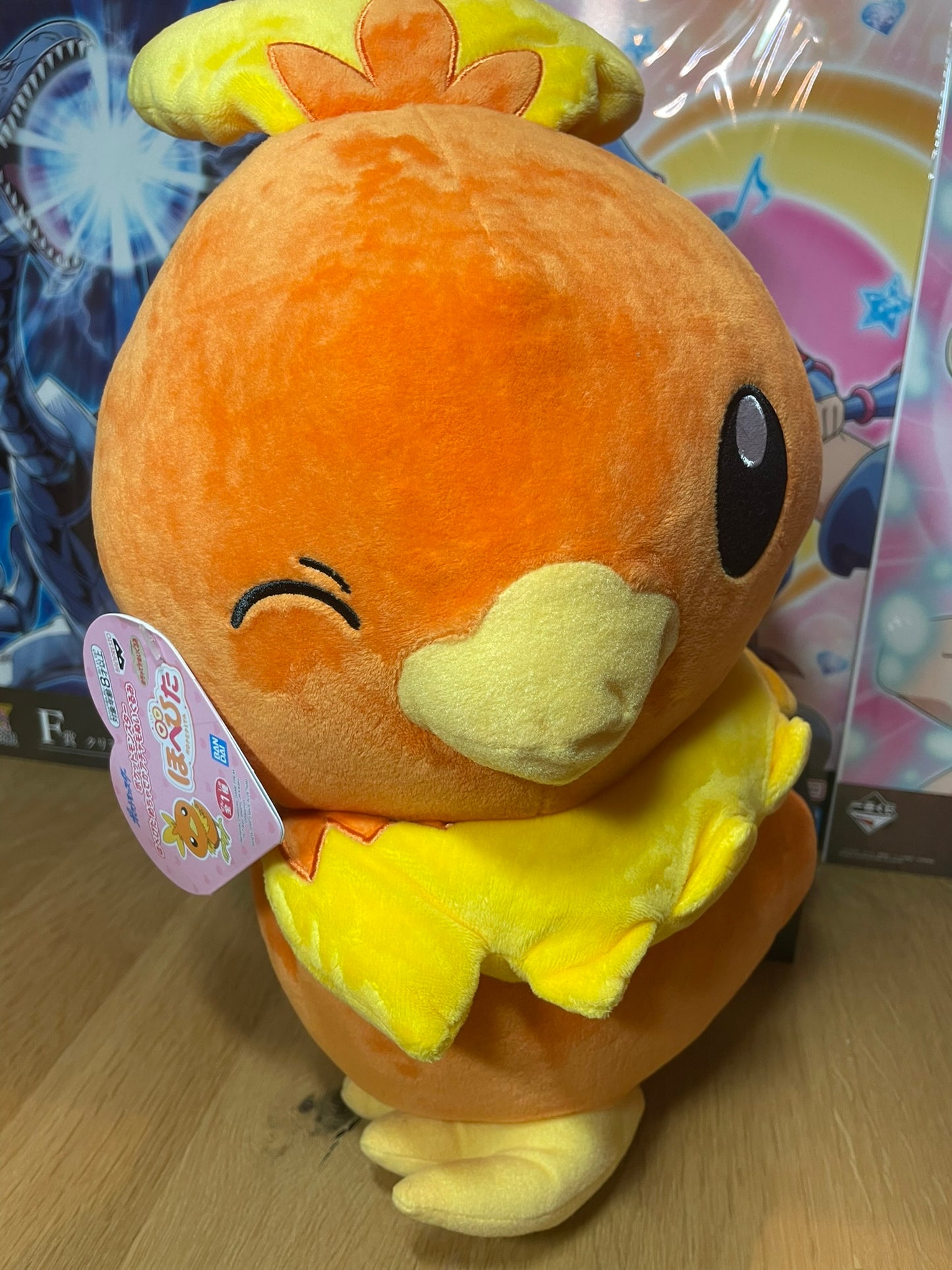Peluche Torchic | Pokémon | Nintendo
