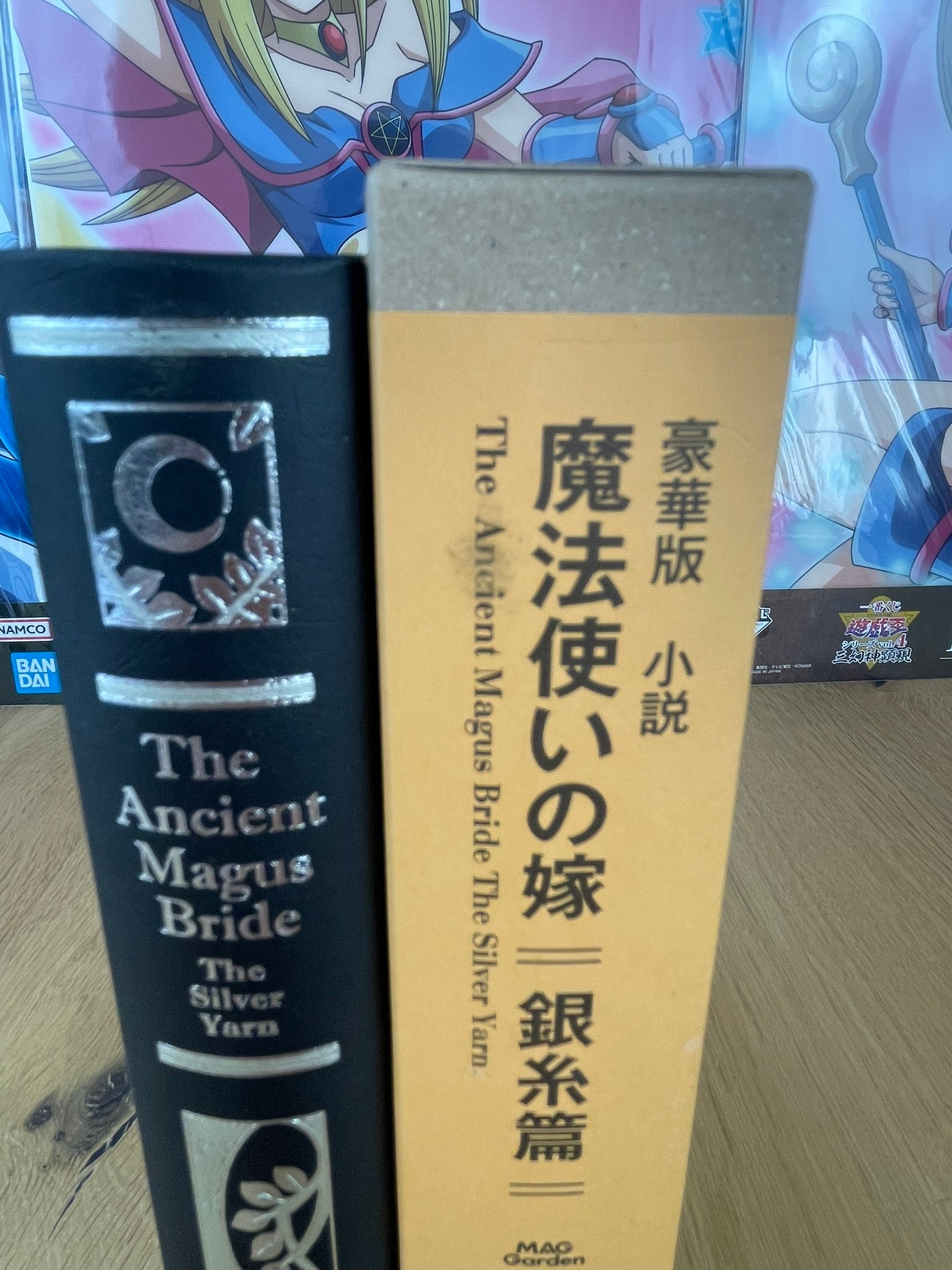 Roman Édition Deluxe Fil d'Argent | The Ancient Magus Bride | Mag Garden
