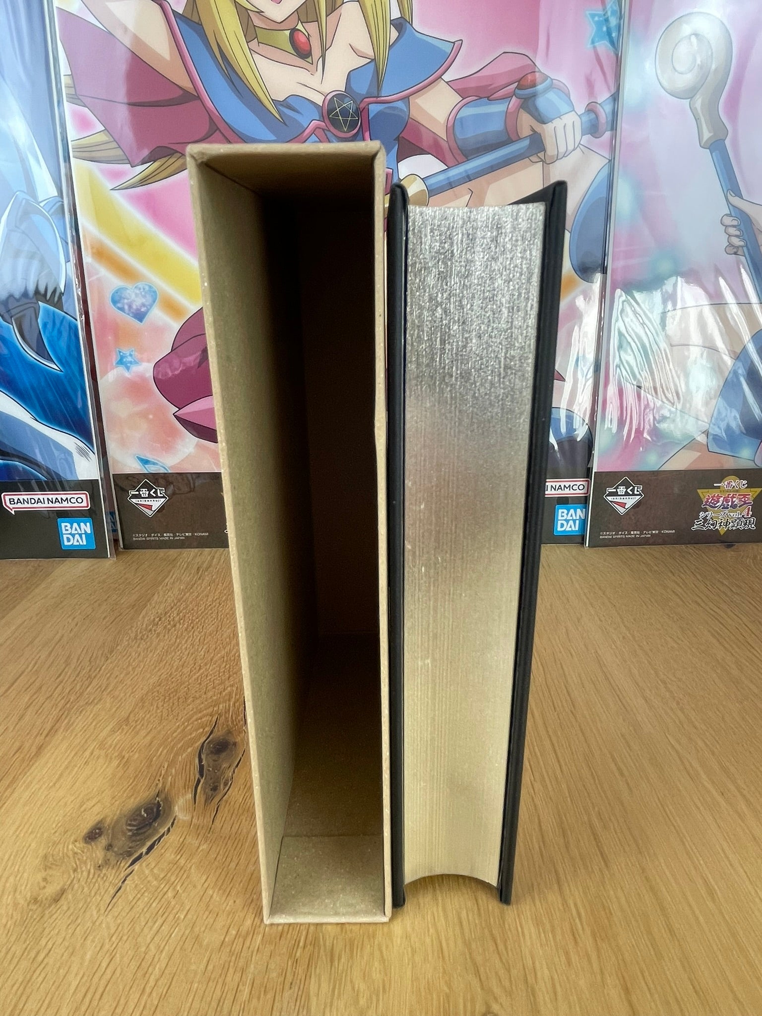 Roman Édition Deluxe Fil d'Argent | The Ancient Magus Bride | Mag Garden