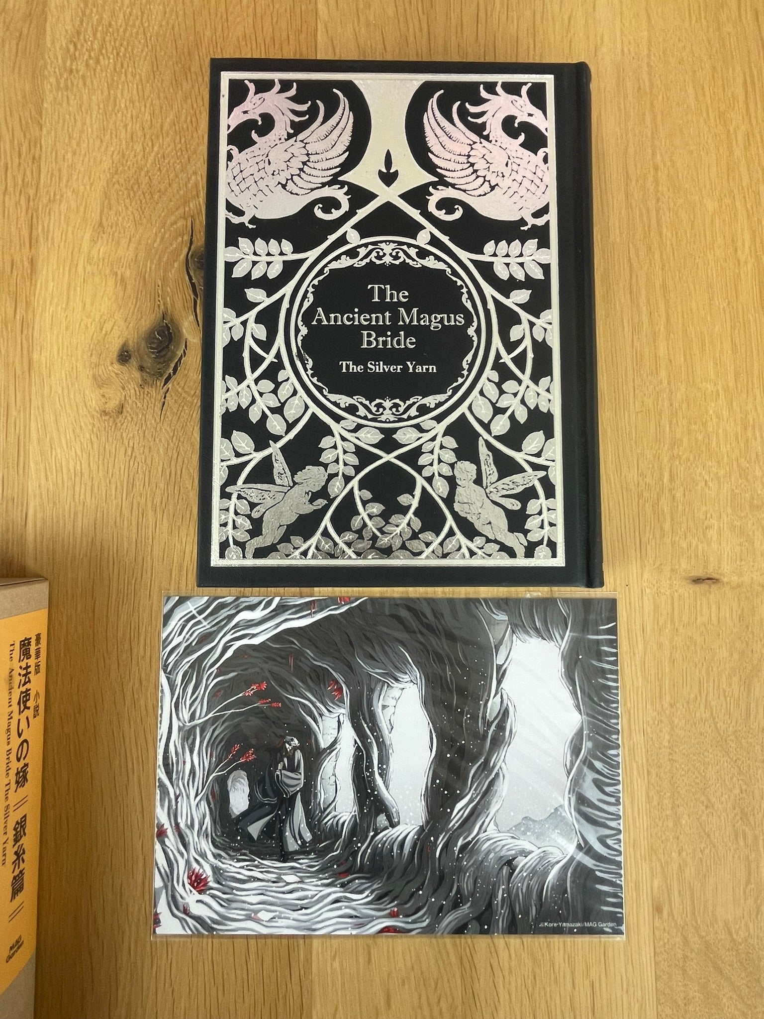 Roman Édition Deluxe Fil d'Argent | The Ancient Magus Bride | Mag Garden